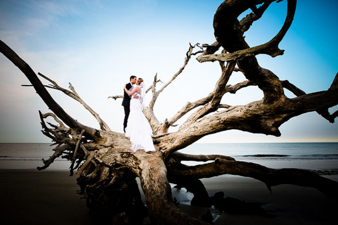 goldenislesweddings_driftwood