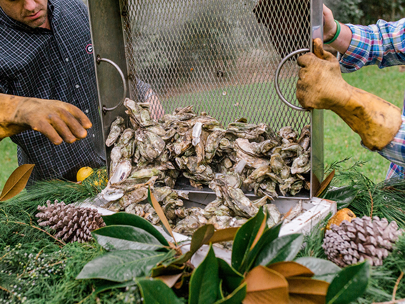 Oyster roast in Savannah, Georgia