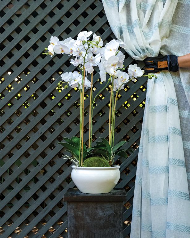 Barclay butera phalaenopsis in a ceramic bowl
