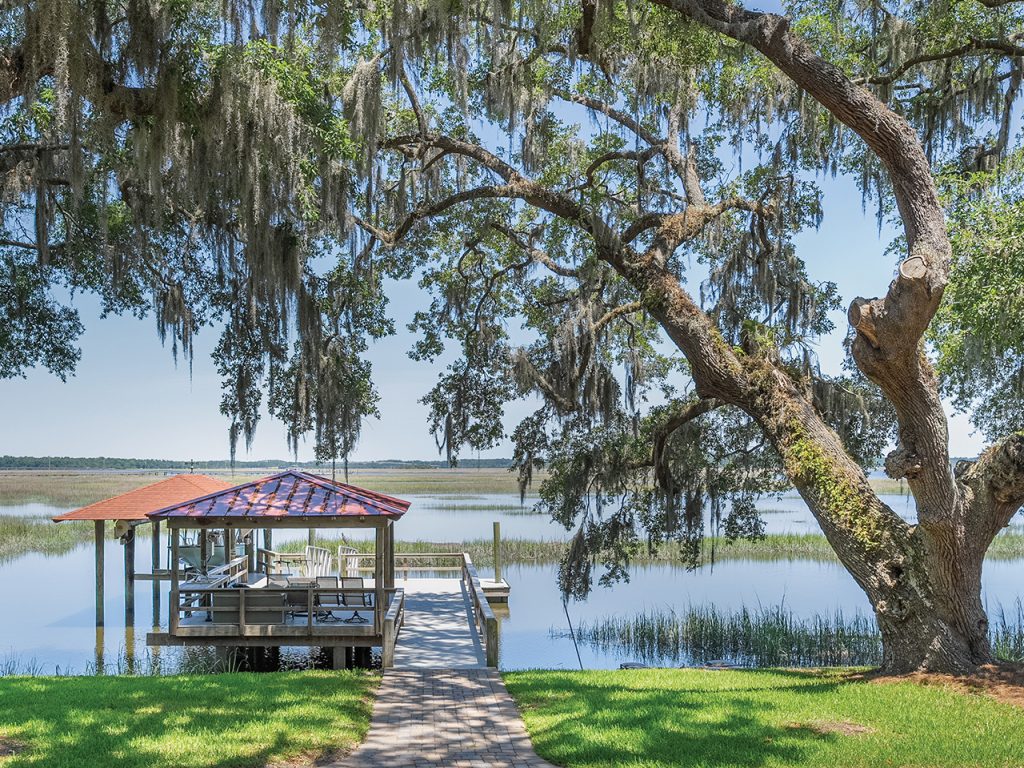A giant live oak tree at the edge of a river, next to a covered boat dock