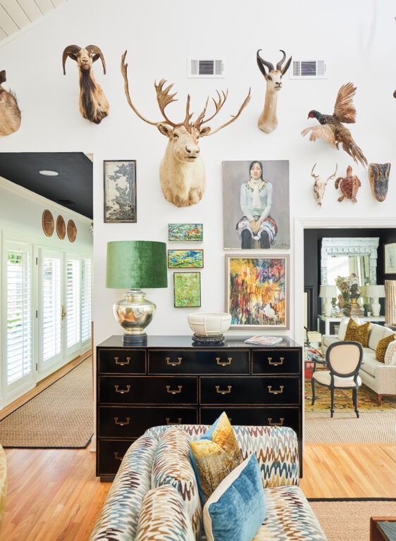 Various taxidermy animals and colorful paintings hanging on a wall