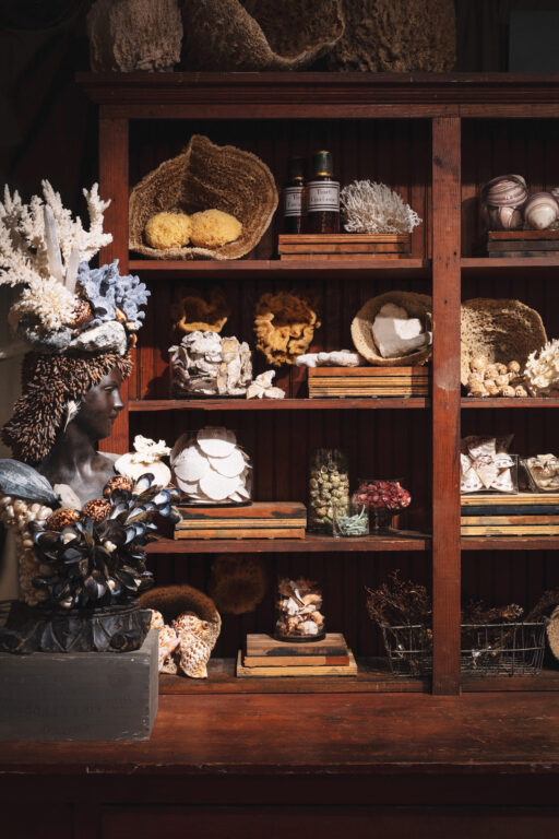 Shelves full of decor