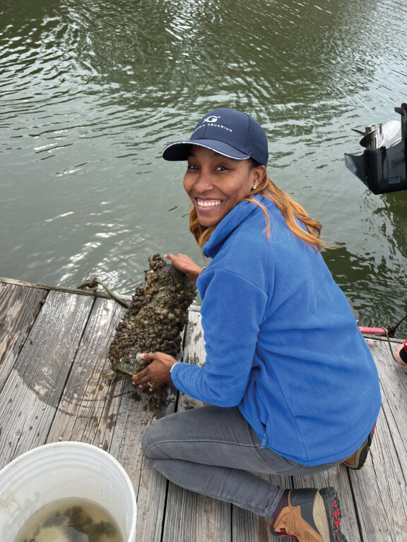 Woman crouching on a dock and looking at oysters