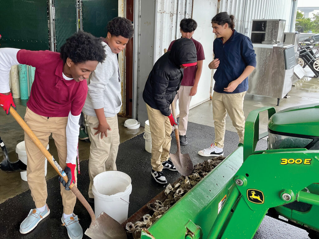 Students shoveling oysters