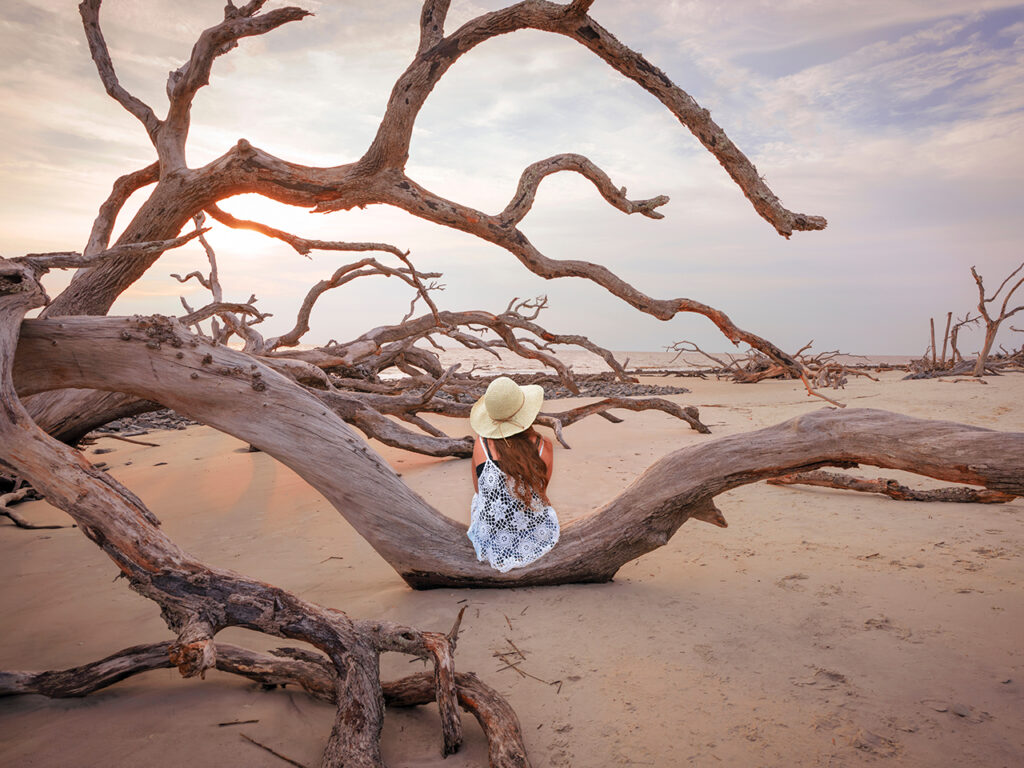 Young woman relaxing on the beach with weathered trees at sunset