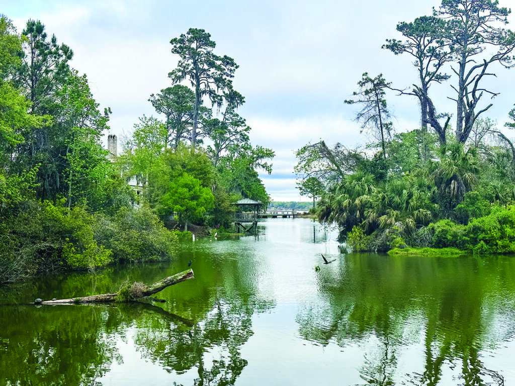 Landscape water and cloud reflection at Montage Palmetto Bluff in Bluffton, South Carolina