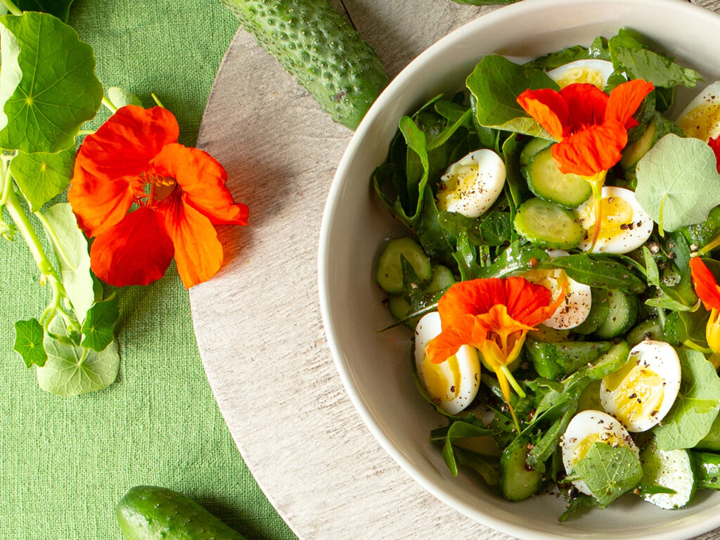 salad with nasturtium