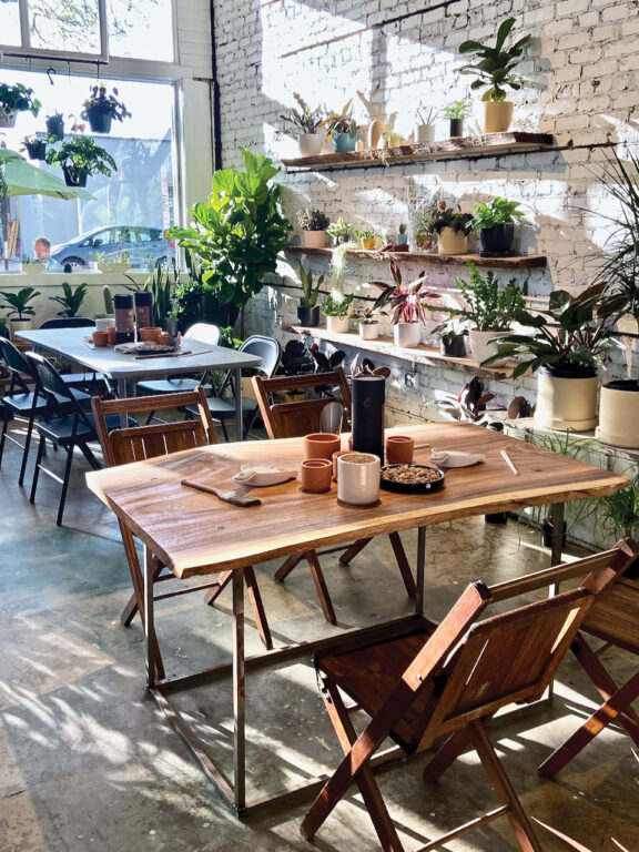 Interior of Stump plant shop