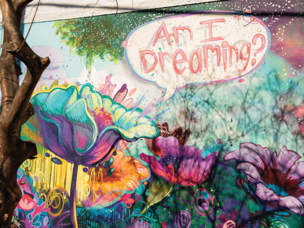 colorful mural of flowers on building wall