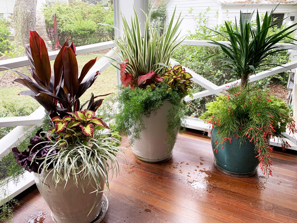 Potted plants on screened in patio