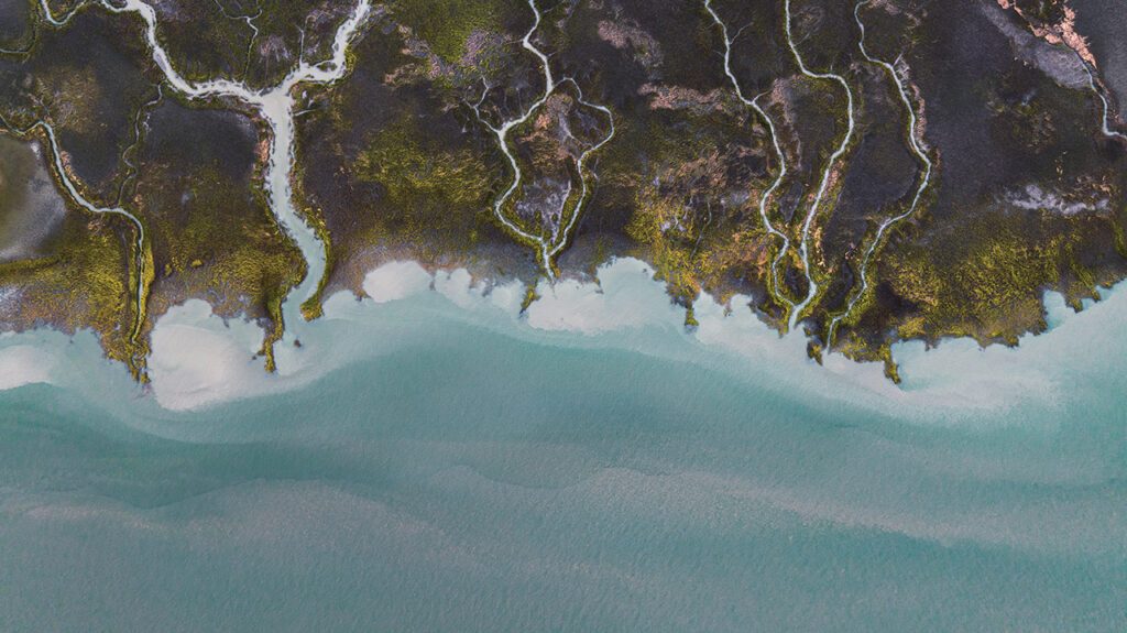 aerial image of the Georgia coastline