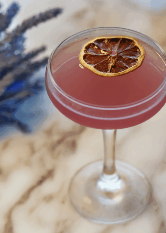 blood orange cocktail