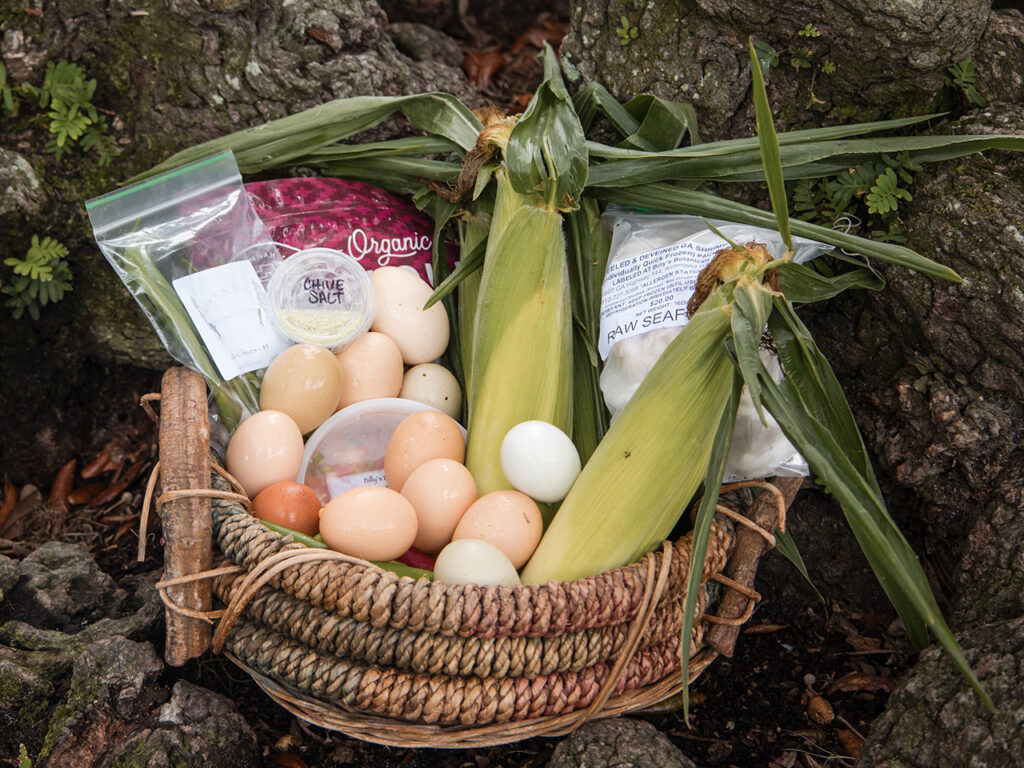 Basket of fresh food from the Forsyth Farmers' Market
