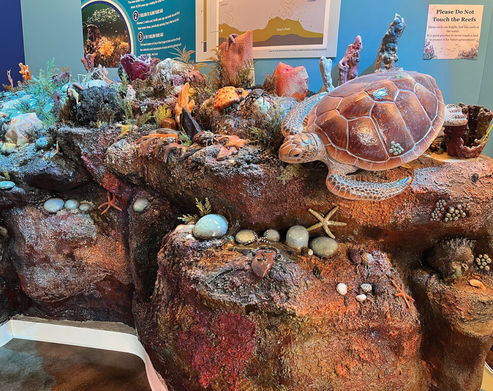 a museum display of a coral reef