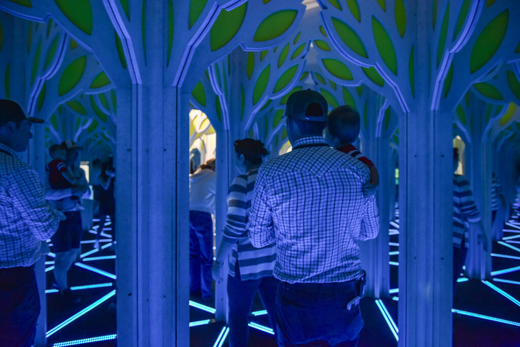 mirror maze