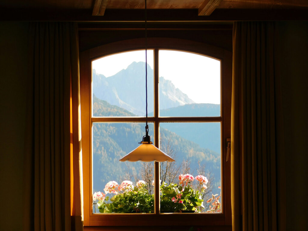 flowers on a windowsill